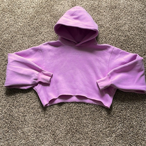 Vitality / Balance Athletica Affirmation Cropped Hoodie - M Pink - Picture 4 of 5